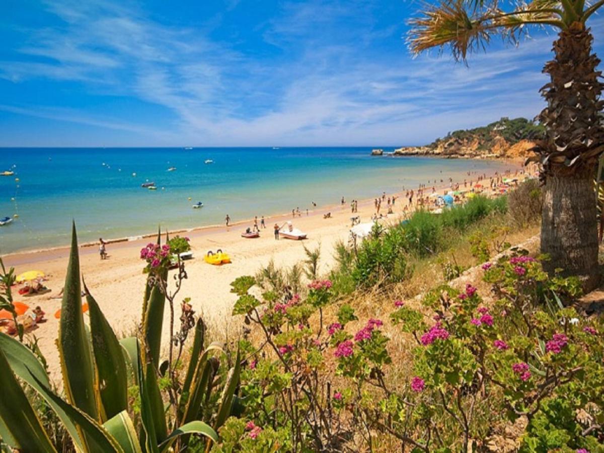 V4, Villa Jardins Branqueira2 Near Beach, Albufeira Exterior photo